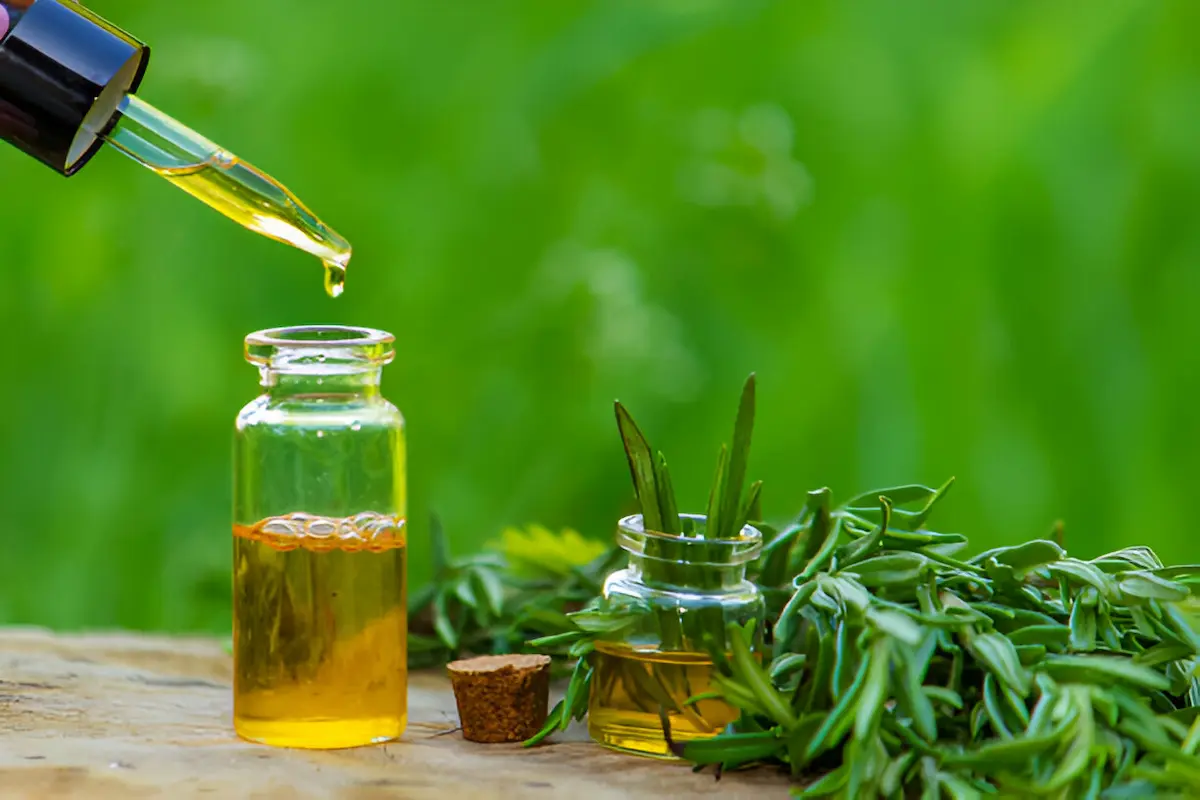 Best oil for hair growth